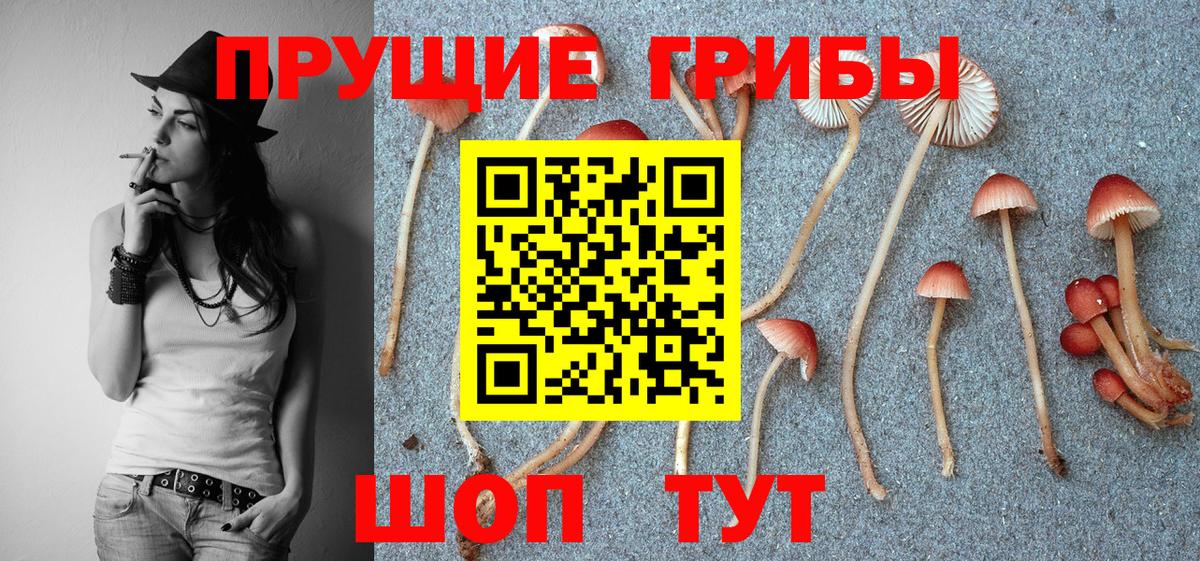 Галлюциногенные грибы Magic Shrooms Великий Новгород