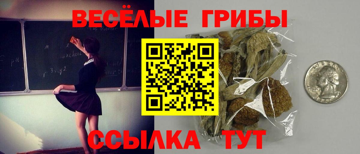 Галлюциногенные грибы Magic Shrooms  Вход с VPN  Великий Новгород 